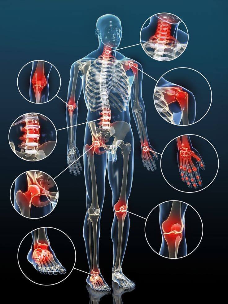 Anatomia Articulațiilor